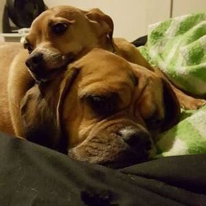 Meet your Posher, Chad